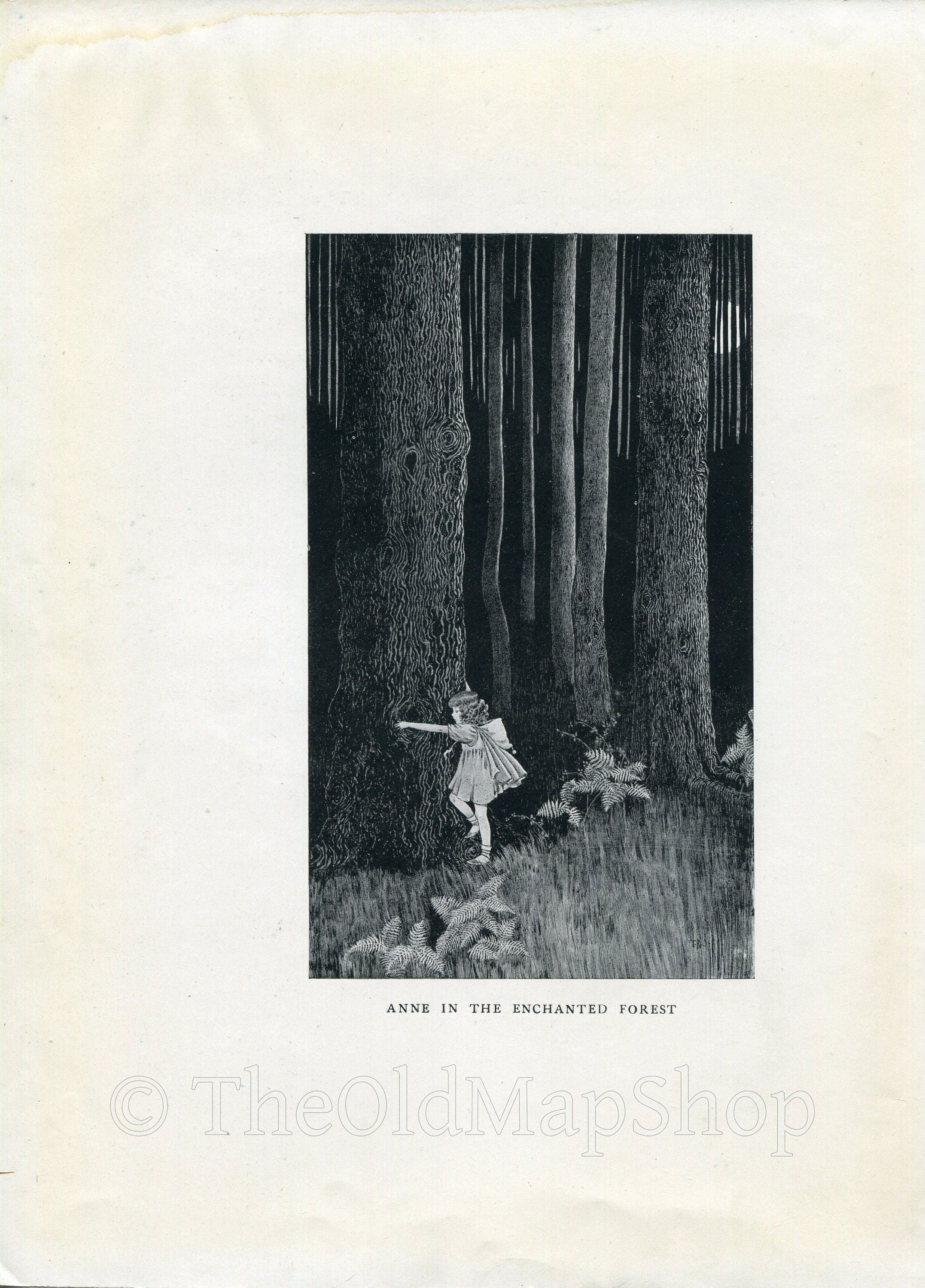 1921 Ida Rentoul Outhwaite Antique Fairy Print (Anne In The Enchanted Forest) Vintage Book Plate, from The Enchanted Forest