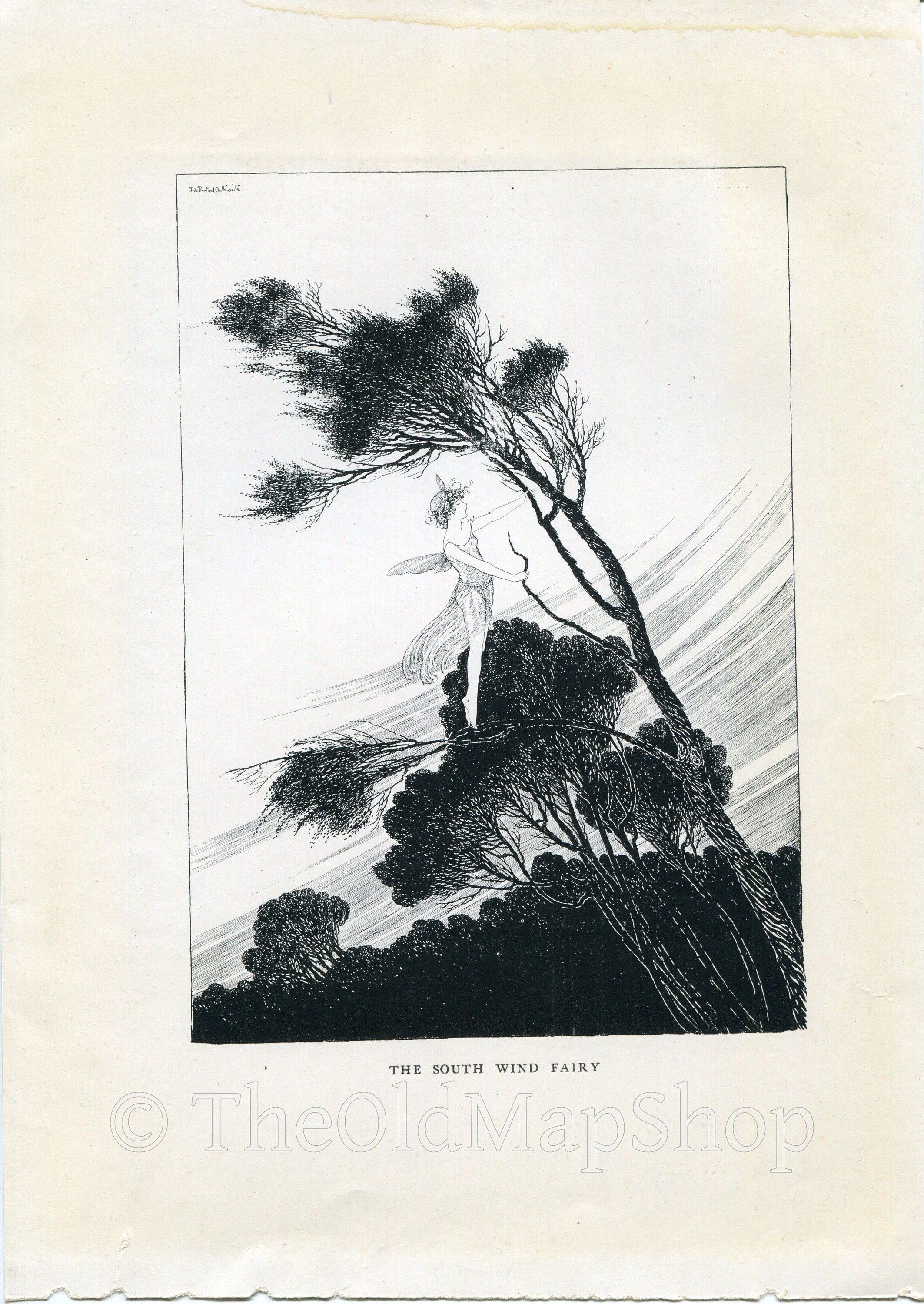 1921 Ida Rentoul Outhwaite Antique Fairy Print (The South Wind Fairy) Vintage Book Plate, from The Enchanted Forest