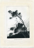1921 Ida Rentoul Outhwaite Antique Fairy Print (The South Wind Fairy) Vintage Book Plate, from The Enchanted Forest