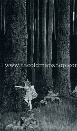 1921 Ida Rentoul Outhwaite Antique Fairy Print (Anne In The Enchanted Forest) Vintage Book Plate, from The Enchanted Forest
