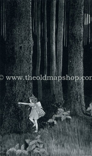 1925 Ida Rentoul Outhwaite Antique Fairy Print (Anne In The Enchanted Forest) Vintage Book Plate, from The Enchanted Forest
