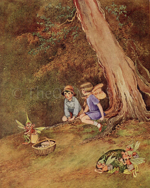 1922 Ida Rentoul Outhwaite Antique Fairy, Fairies Print, Brownie Was Very Brave Now, Book Plate from The Little Green Road to Fairyland