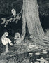 1922 Ida Rentoul Outhwaite Antique Fairy Print, Do It For The Sake of Us All, Koala Rabbit, Book Plate, The Little Green Road to Fairyland
