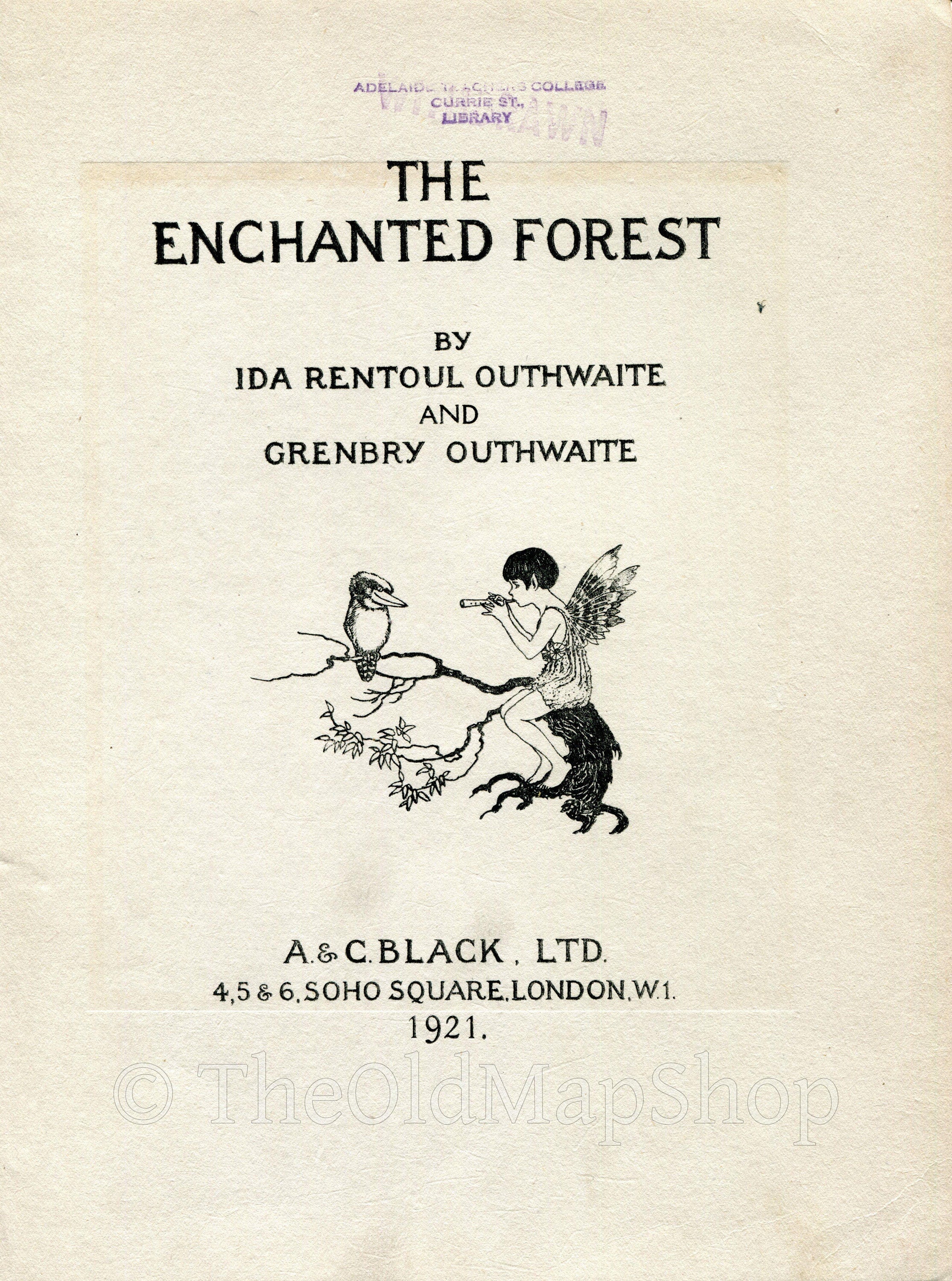 1921 Ida Rentoul Outhwaite Antique Fairy Print (Drawn By Fishes) Vintage Book Plate, from The Enchanted Forest