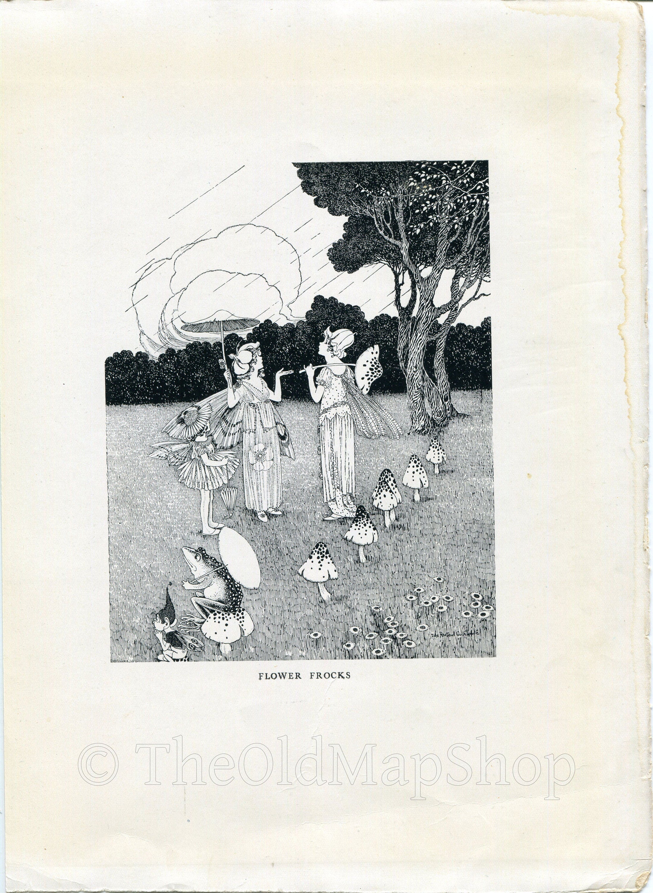 1921 Ida Rentoul Outhwaite Antique Fairy Print (Flower Frocks) Vintage Book Plate, from The Enchanted Forest