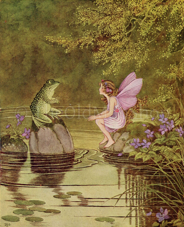 1922 Ida Rentoul Outhwaite Antique Fairy, Frog, Toad Print, Kexy Friend of Fairies, Book Plate from The Little Green Road to Fairyland