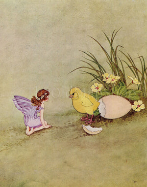 1922 Ida Rentoul Outhwaite Antique Fairy, Chick Chicken Egg Print, What a Fright She Got, Book Plate from The Little Green Road to Fairyland