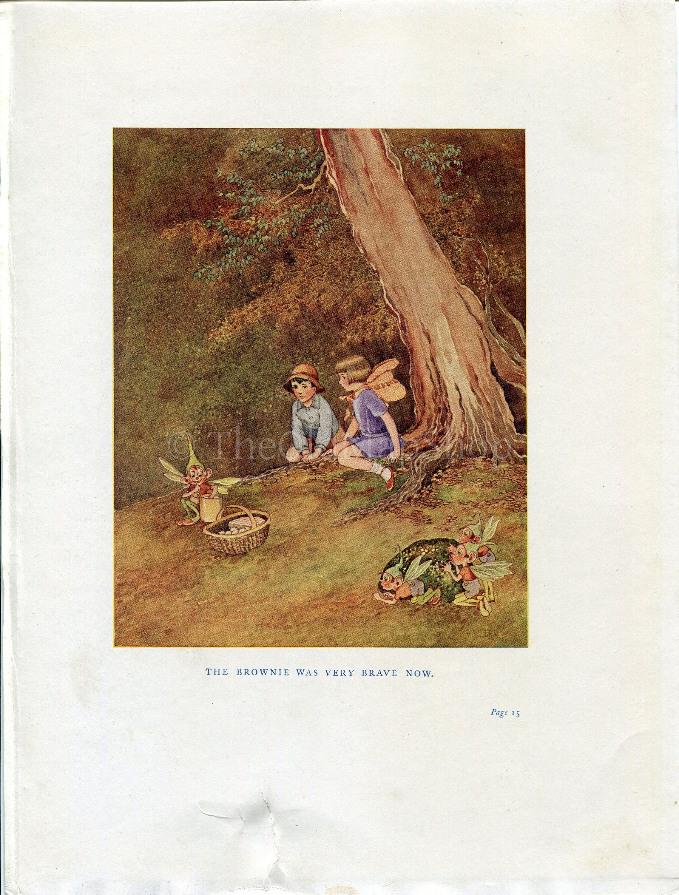 1922 Ida Rentoul Outhwaite Antique Fairy, Fairies Print, Brownie Was Very Brave Now, Book Plate from The Little Green Road to Fairyland