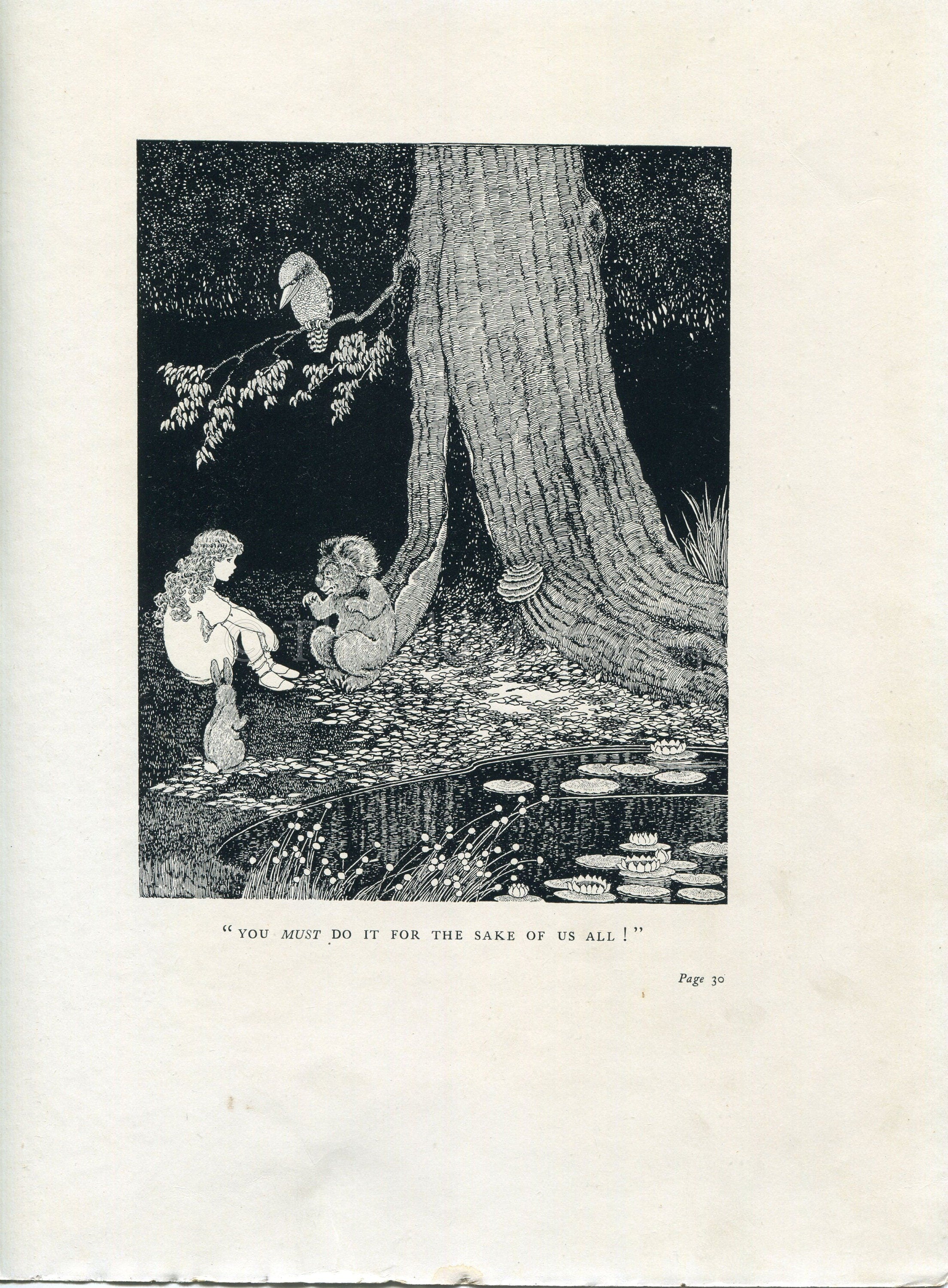 1922 Ida Rentoul Outhwaite Antique Fairy Print, Do It For The Sake of Us All, Koala Rabbit, Book Plate, The Little Green Road to Fairyland