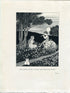 1922 Ida Rentoul Outhwaite Antique Fairy Print, Jasper Played A Little Wild Woodland Melody, Book Plate, The Little Green Road to Fairyland
