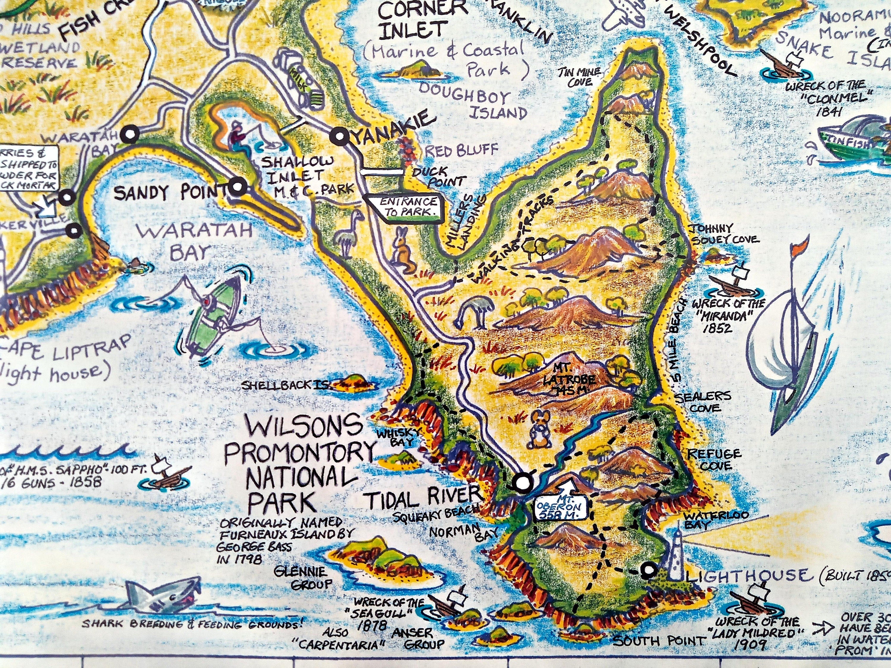 1996 South Gippsland, State of Victoria, Australia Pictorial Tourist Map Poster by David Clarke. Wilsons Promontory, Phillip & French Island