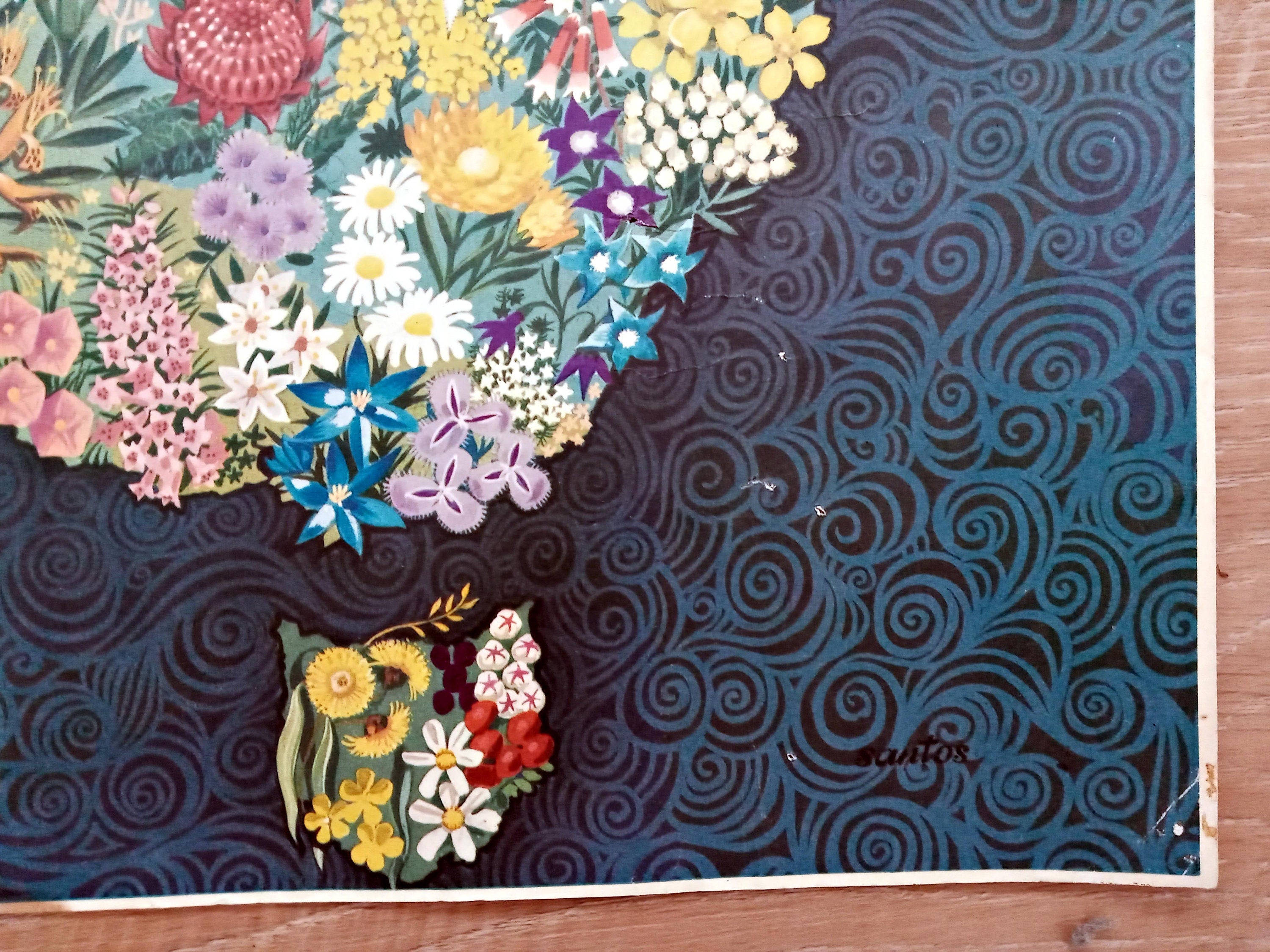 Rare c.1940-1950 George Santos, Decorative Wildflowers, Flowers, Flora of Australia Pictorial Map. Published by Shell Oil