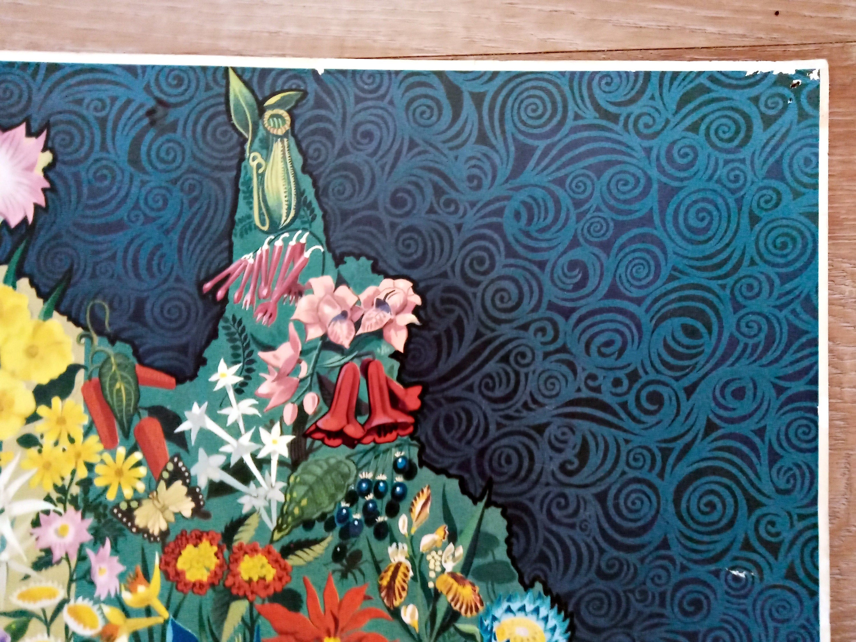 Rare c.1940-1950 George Santos, Decorative Wildflowers, Flowers, Flora of Australia Pictorial Map. Published by Shell Oil