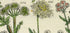 Antique Botanical Print of Wild Flowers, 1914 John Sowerby Fennel, Fools Parsley, Wild Parsnip, Hand-Coloured Flower Plate (541 to 560)