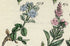 Antique Botanical Print of Wild Flowers, 1914 John Sowerby Welsh Speedwell, Hand-Coloured Flower Plate (861 to 880)